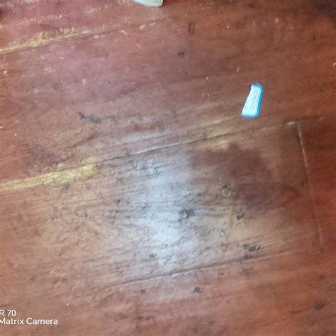 世界杯官方入口